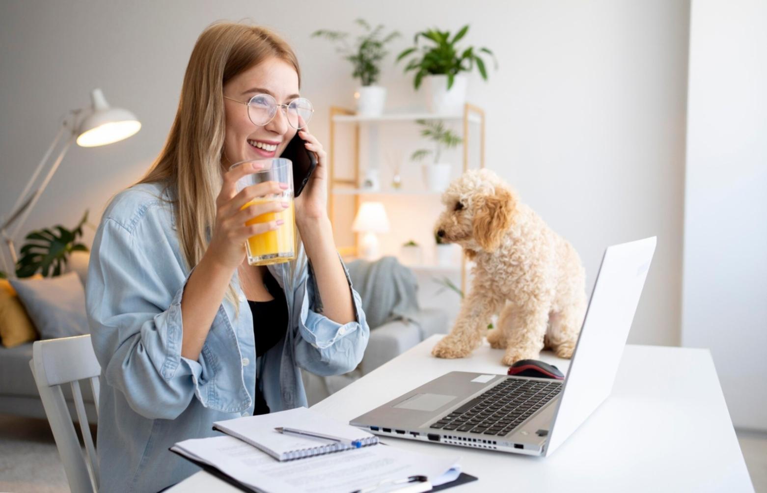 Xenalivorqe Bildungsplattform